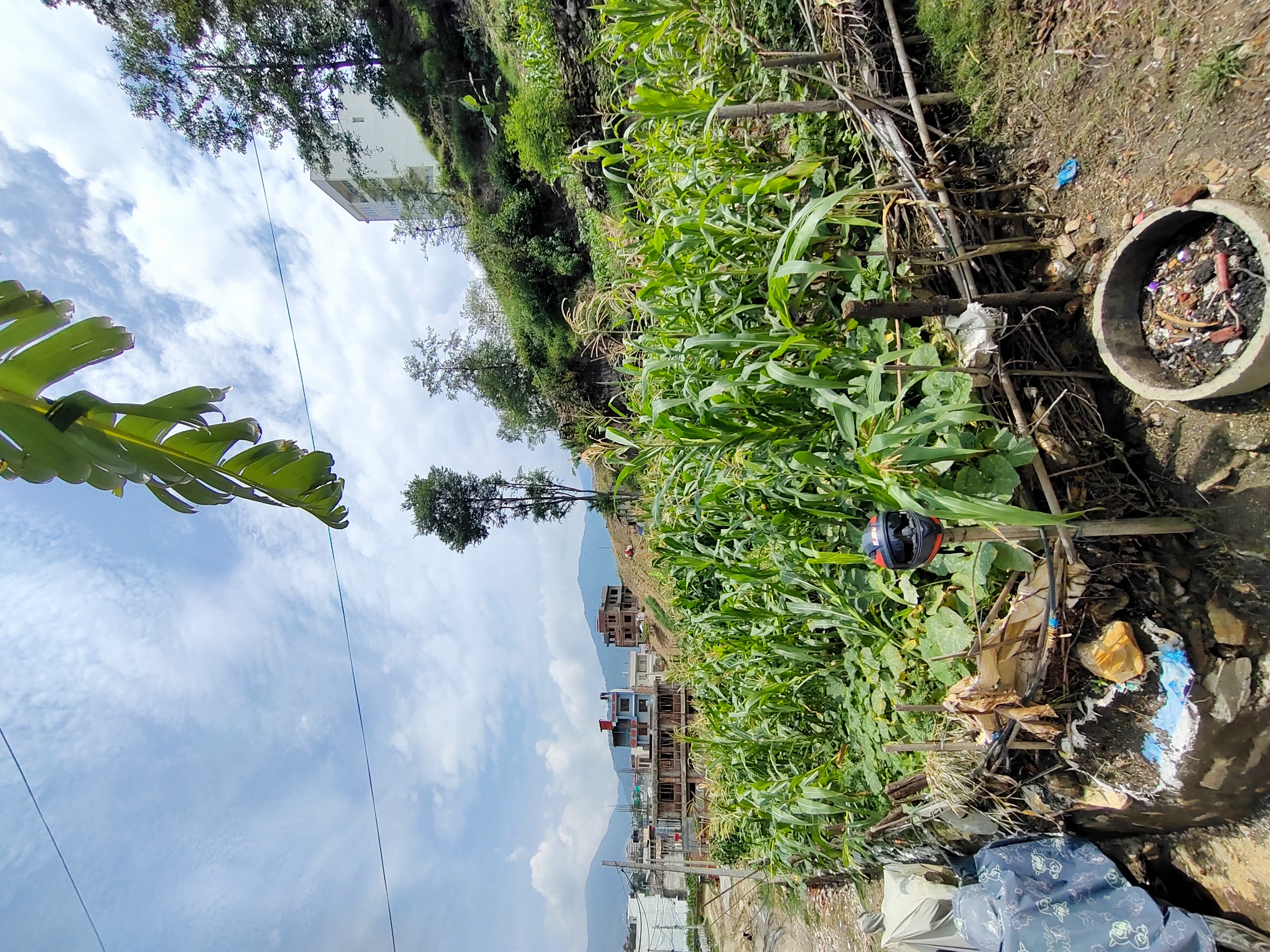Picture of Budhanilkantha Municipality, Bagmati